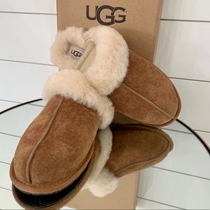 UGG Scuffette II Chestnut Slippers
